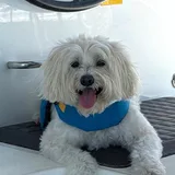 Benny